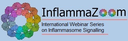InflammaZoom logo