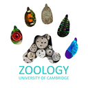 Behaviour, Ecology & Evolution Seminar Series logo