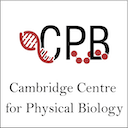 Centre for Physical Biology talks   logo