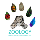 Zoology Departmental Seminar Series logo