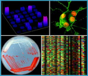 Occasional Talks in Biochemistry logo