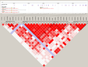 Cancer Genetic Epidemiology Seminar Series logo