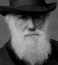 Darwin College Lecture Series logo